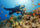 Where can we do Scuba Diving in Pakistan?