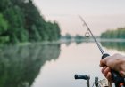 Top 6 Fishing Locations in Pakistan