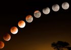 Lunar Eclipse to Grace the Night Skies on 29 October