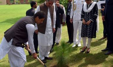 PM Imran Khan plants a tree at Foreign Office