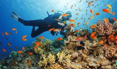Where can we do Scuba Diving in Pakistan?
