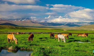 Deosai National Park: The Land of Giants