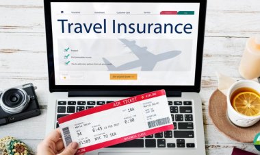 Why Travel Insurance is a Must-Have for Any Traveler