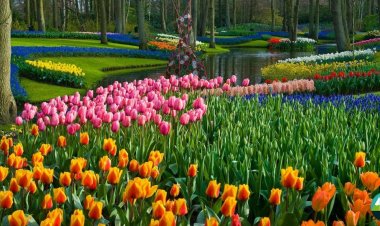 Top 6 Must-Visit Spring Destinations in Pakistan