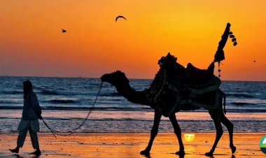 The Ultimate Beach Guide to Karachi