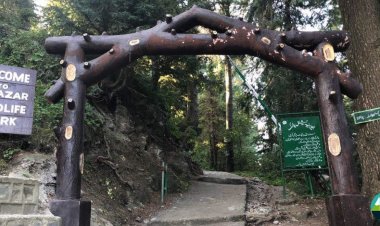 Exploring the Enchanting Lalazar Park in Murree