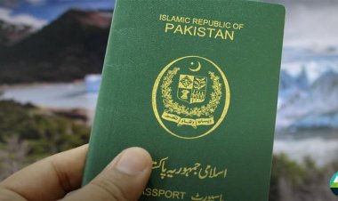 A Step-by-Step Guide: How to Renew Your Passport Online