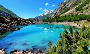 Exploring the Enchanting Naltar Valley: A Comprehensive Guide