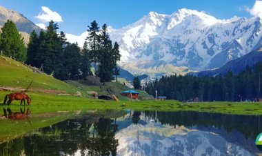 10 Reasons Why Fairy Meadows is a Dream Destination for Tourists