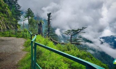 Visiting Nathia Gali: 8 Exciting Activities