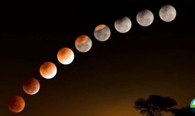 Lunar Eclipse to Grace the Night Skies on 29 October