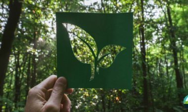 PHA in Punjab Takes the Lead in Eco-Friendly Commuting to Tackle Air Pollution