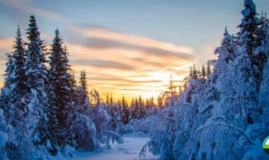 A Guide to Packing for Your Chilly Adventure