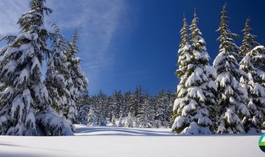 Murree Prepares for Snow Season with the Establishment of Five Facilitation Centers