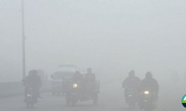 Thick Fog in Punjab Disrupts Daily Life and Traffic
