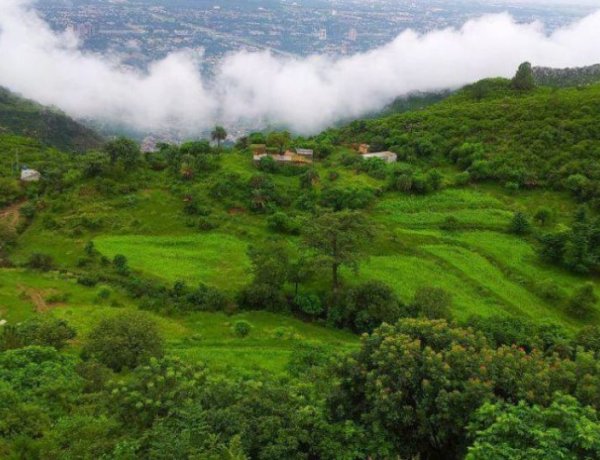 5 Things You Can't Miss When Visiting Murree