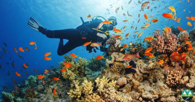 Where can we do Scuba Diving in Pakistan?
