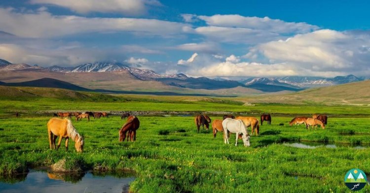 Deosai National Park: The Land of Giants