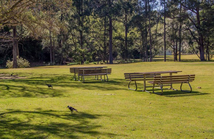 Picnic at Ayubia National Park