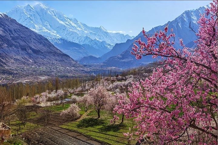 spring in hunza