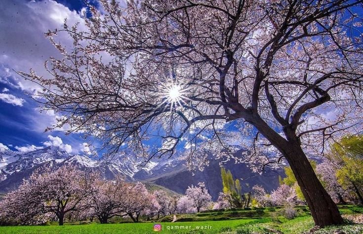 Spring in skardu