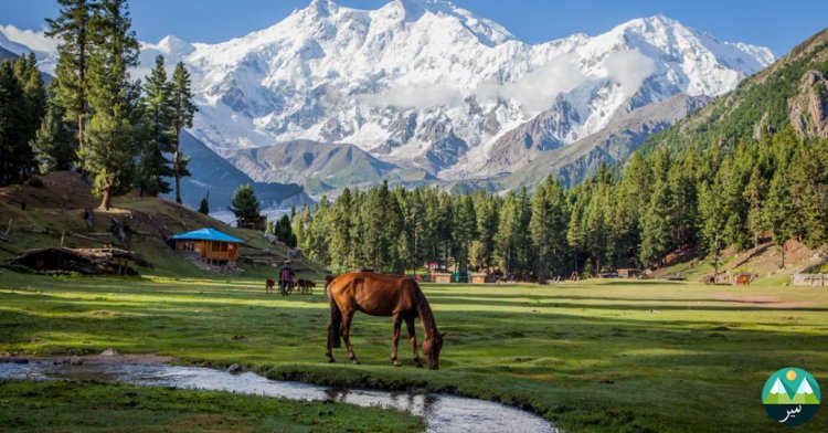 The Best Time to Visit Fairy Meadows: A Seasonal Guide