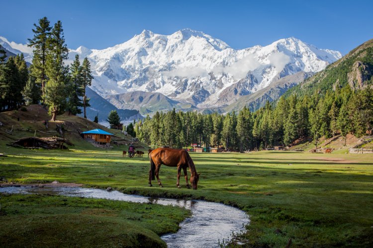 Landscapes of Fairy Meadows | Sayr