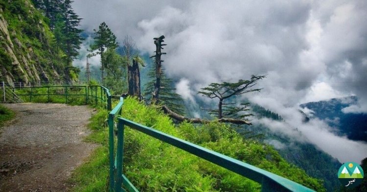 Visiting Nathia Gali: 8 Exciting Activities
