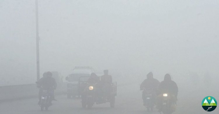 Thick Fog in Punjab Disrupts Daily Life and Traffic